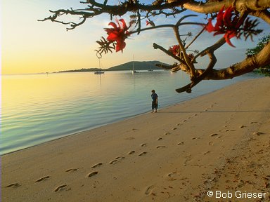 oO� Quand vient la fin de l'�t� �Oo